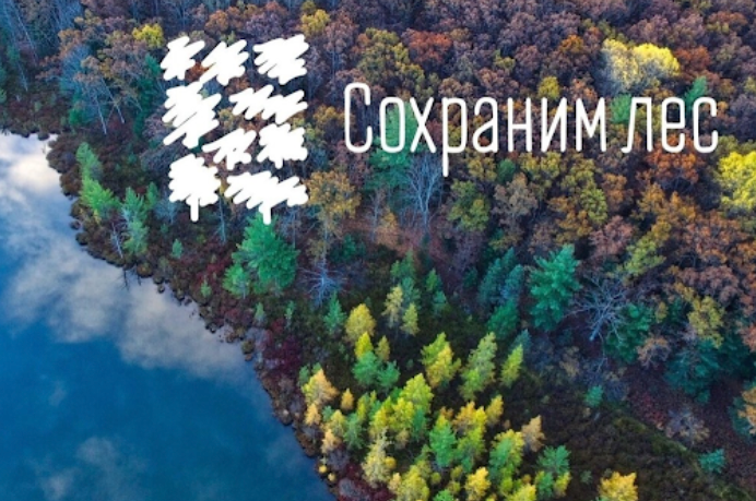 Башкирия в 2026 году получит 278 миллионов рублей по федеральной программе «Сохранение лесов»